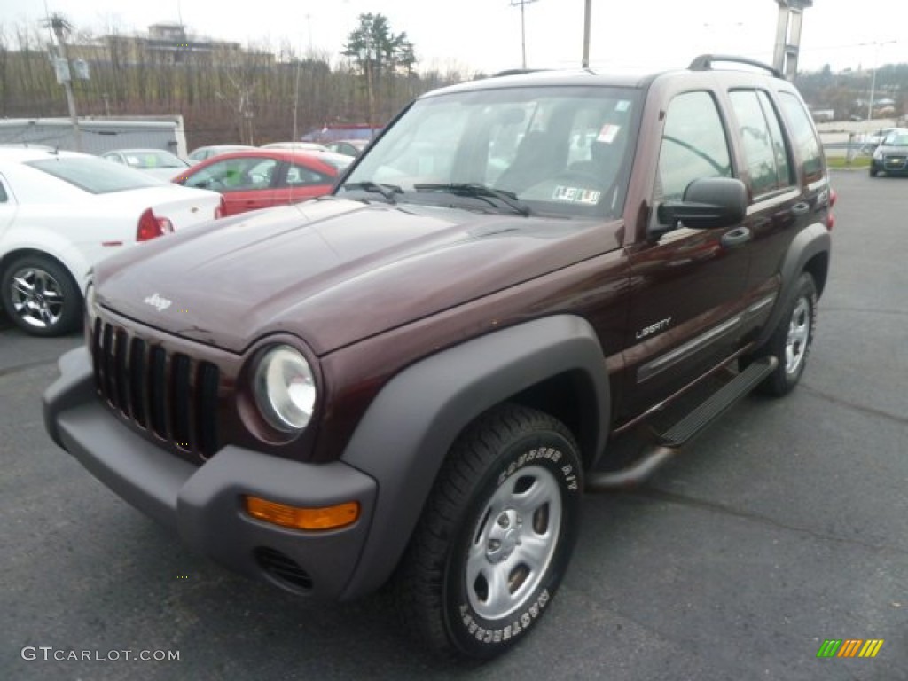 2004 Liberty Sport 4x4 - Deep Molten Red Pearl / Taupe photo #5
