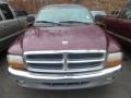 Dark Garnet Red Pearl Coat - Dakota SLT Crew Cab Photo No. 5