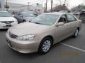 Desert Sand Mica - Camry LE Photo No. 2