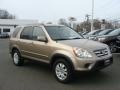 Sahara Sand Metallic - CR-V SE 4WD Photo No. 3