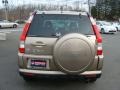 Sahara Sand Metallic - CR-V SE 4WD Photo No. 5