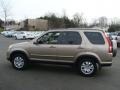 Sahara Sand Metallic - CR-V SE 4WD Photo No. 7