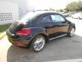 Black - Beetle 2.5L Photo No. 7