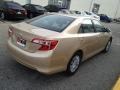 Sandy Beach Metallic - Camry LE Photo No. 6