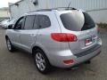 Bright Silver - Santa Fe SE 4WD Photo No. 4