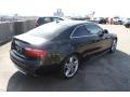 Phantom Black Pearl Effect - S5 4.2 quattro Photo No. 11