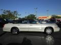 Cashmere Tri-Coat - Town Car Signature Limited Photo No. 16
