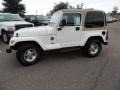 Stone White 2002 Jeep Wrangler Sahara 4x4 Exterior