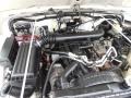  2002 Wrangler Sahara 4x4 4.0 Liter OHV 12-Valve Inline 6 Cylinder Engine