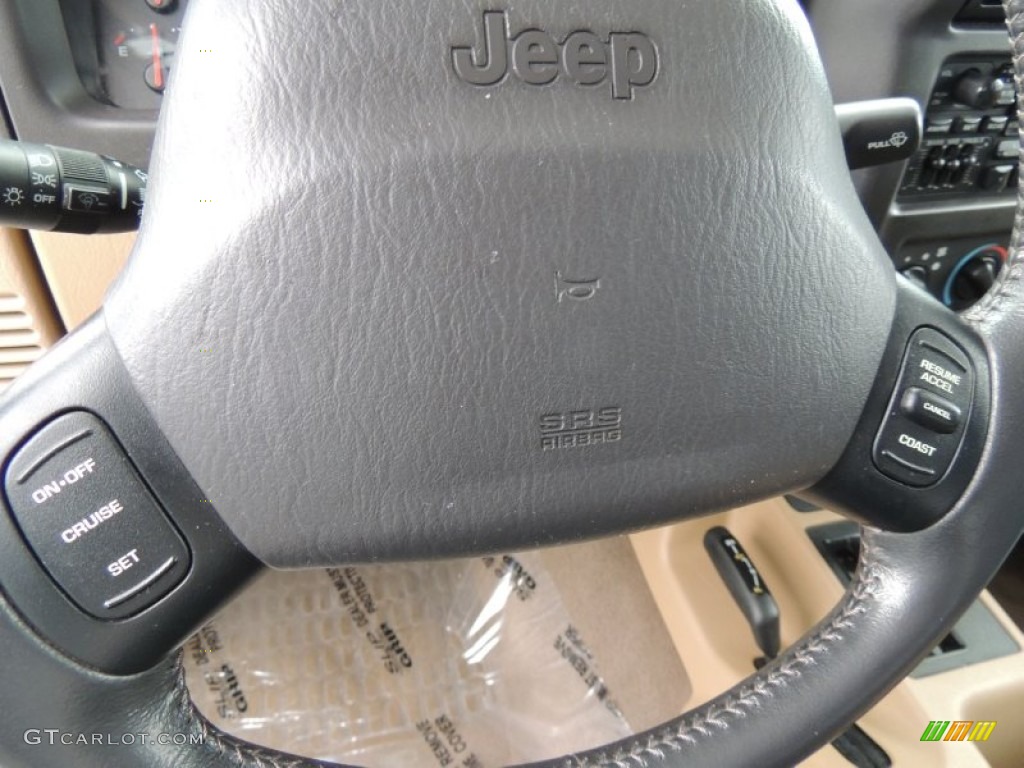 2002 Jeep Wrangler Sahara 4x4 Camel Beige/Dark Green Steering Wheel Photo #75159537