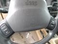 2002 Jeep Wrangler Camel Beige/Dark Green Interior Steering Wheel Photo
