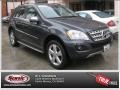 2010 Steel Grey Metallic Mercedes-Benz ML 350  photo #1