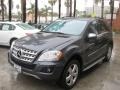 Steel Grey Metallic - ML 350 Photo No. 8