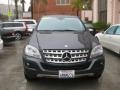 Steel Grey Metallic - ML 350 Photo No. 9