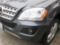 2010 Steel Grey Metallic Mercedes-Benz ML 350  photo #25