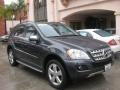 2010 Steel Grey Metallic Mercedes-Benz ML 350  photo #27