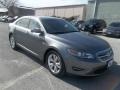 Sterling Grey - Taurus SEL Photo No. 17