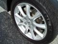 Carbon Gray Pearl - TSX Sedan Photo No. 7
