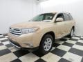 Sandy Beach Metallic - Highlander  Photo No. 3