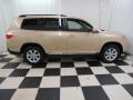 Sandy Beach Metallic - Highlander  Photo No. 26