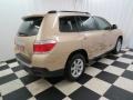 Sandy Beach Metallic - Highlander  Photo No. 27