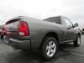 Mineral Gray Metallic - 1500 Express Regular Cab Photo No. 3