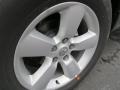 Mineral Gray Metallic - 1500 Express Regular Cab Photo No. 5