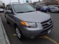 2007 Steel Gray Hyundai Santa Fe Limited 4WD  photo #11