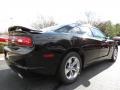 Pitch Black - Charger SE Photo No. 3