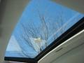 2007 Graphite Pearl Honda Accord EX-L Sedan  photo #8