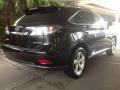 2010 Obsidian Black Lexus RX 350 AWD  photo #8