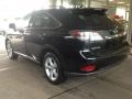 2010 Obsidian Black Lexus RX 350 AWD  photo #13