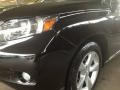 2010 Obsidian Black Lexus RX 350 AWD  photo #25