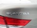 Desert Bronze - Elantra GLS Photo No. 13