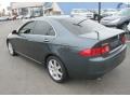 Carbon Gray Pearl - TSX Sedan Photo No. 11