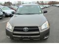 Pyrite Metallic - RAV4 I4 4WD Photo No. 2
