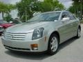 Light Platinum - CTS Sedan Photo No. 7