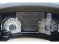 Camel/Grey Stone Gauges Photo for 2007 Ford Expedition #75192446