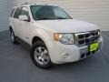 2009 White Suede Ford Escape Hybrid Limited  photo #1