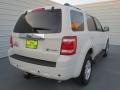 2009 White Suede Ford Escape Hybrid Limited  photo #3