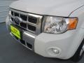 2009 White Suede Ford Escape Hybrid Limited  photo #11