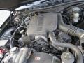 Black Clearcoat - Grand Marquis GS Photo No. 13