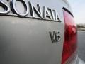 Bright Silver - Sonata GLS V6 Photo No. 10