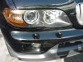 2006 Black Sapphire Metallic BMW X5 4.4i  photo #11