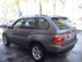 Sterling Grey Metallic - X5 3.0i Photo No. 6
