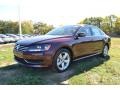 2013 Opera Red Metallic Volkswagen Passat 2.5L SE  photo #1