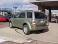 Kiwi Green Metallic - Mariner Hybrid 4WD Photo No. 9