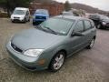 Light Tundra Metallic - Focus ZX5 SES Hatchback Photo No. 3