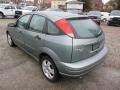 Light Tundra Metallic - Focus ZX5 SES Hatchback Photo No. 4