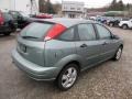 Light Tundra Metallic - Focus ZX5 SES Hatchback Photo No. 6